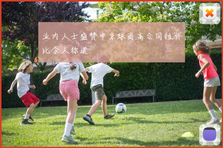 业内人士盛赞申京球商高合同性价比令人称道